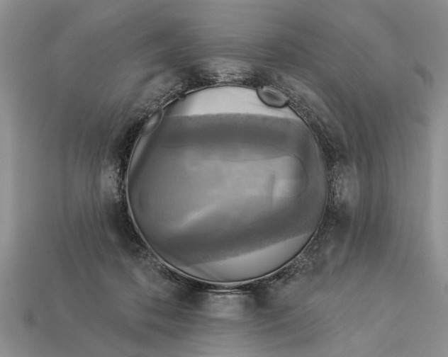 X0000112960316200909171303