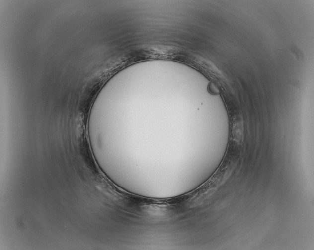 X0000112960318200909171303