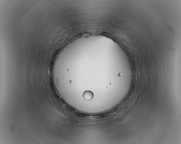 X0000112960320200909171303