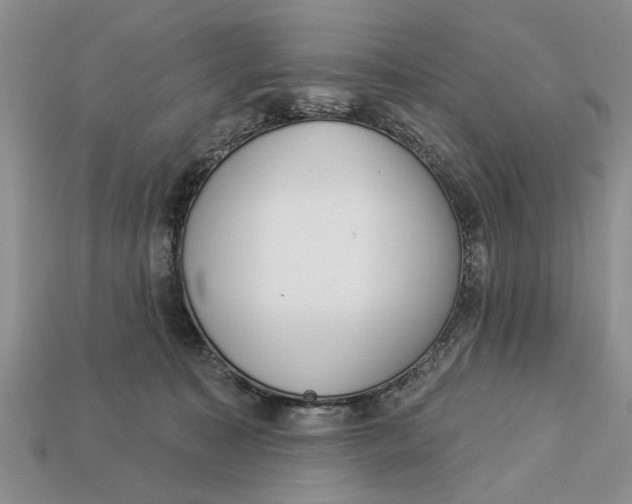 X0000112960323200909171303