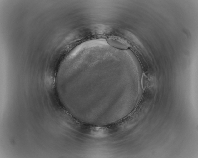 X0000112960324200909171303