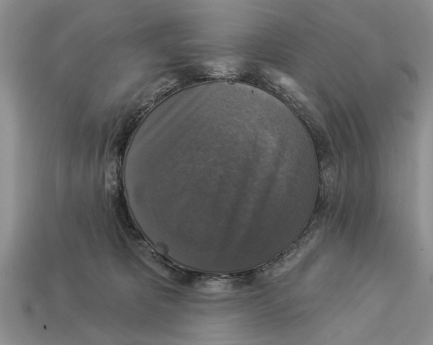 X0000112960325200909171303