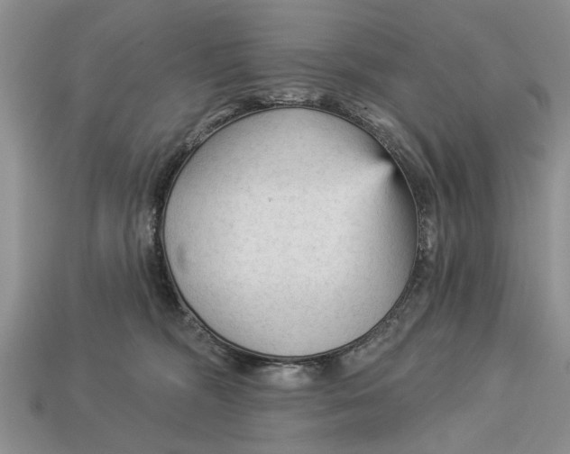 X0000112960326200909171303