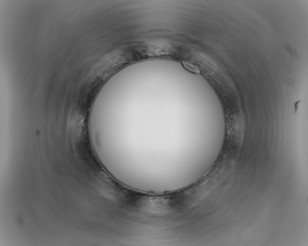 X0000112960327200909171303