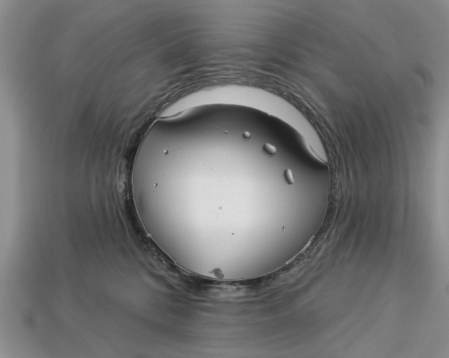 X0000112960328200909171303