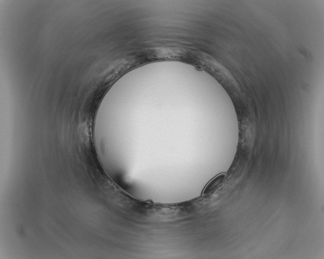 X0000112960329200909171303