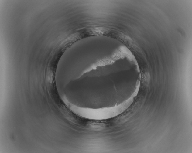 X0000112960331200909171303