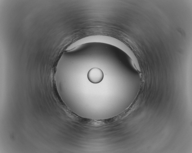 X0000112960333200909171303