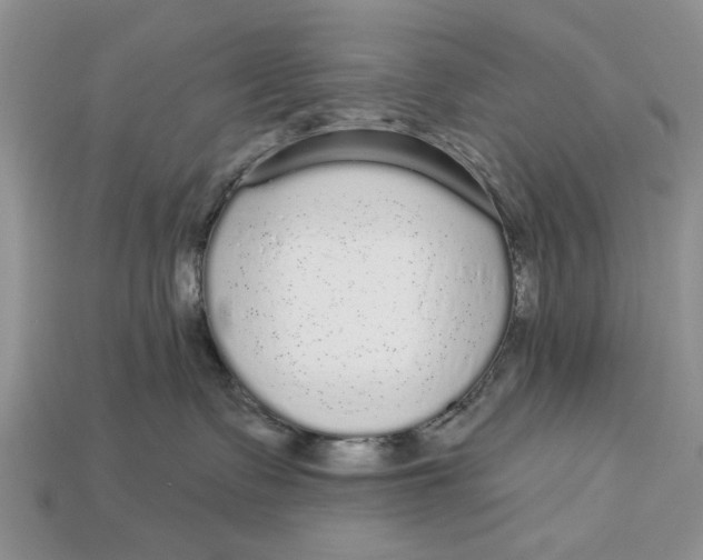 X0000112960335200909171303