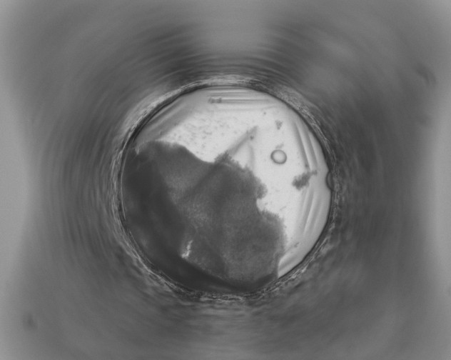 X0000112960337200909171302