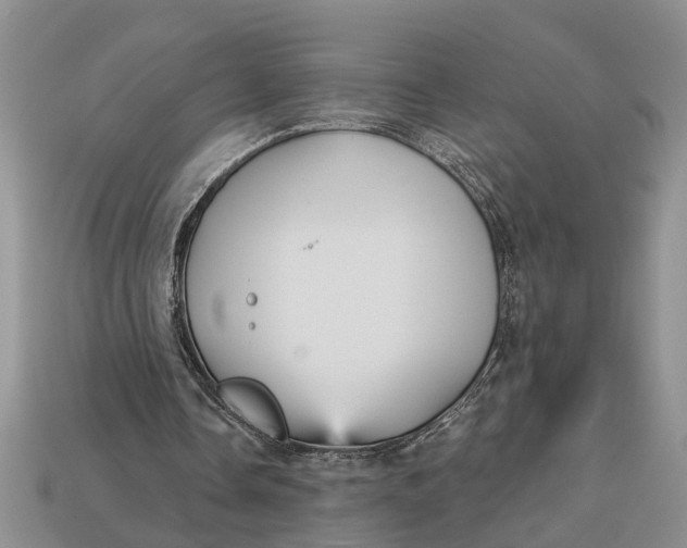 X0000112960338200909171302