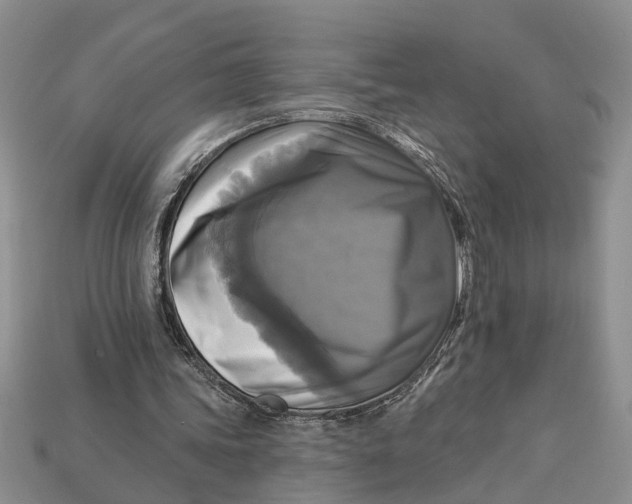 X0000112960339200909171302