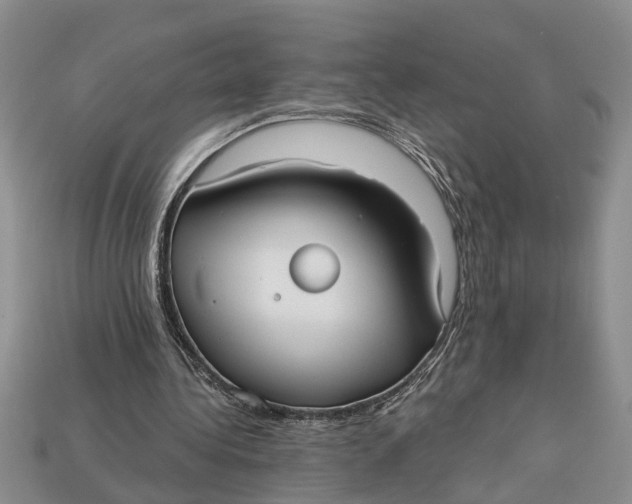 X0000112960340200909171302