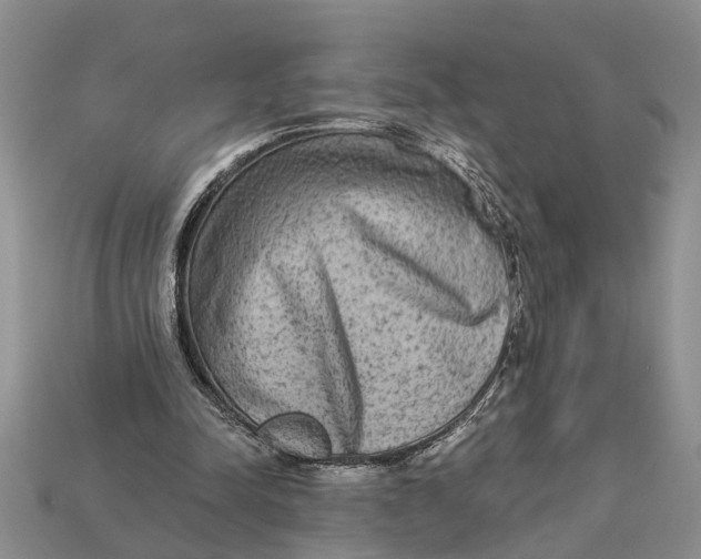 X0000112960342200909171302