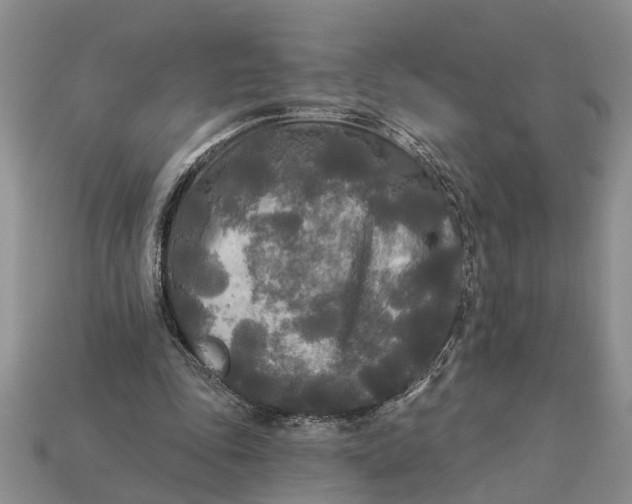 X0000112960343200909171302