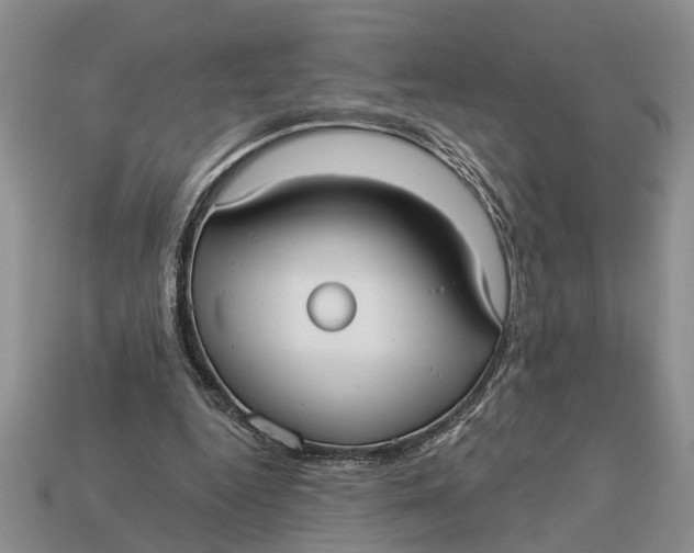 X0000112960344200909171302