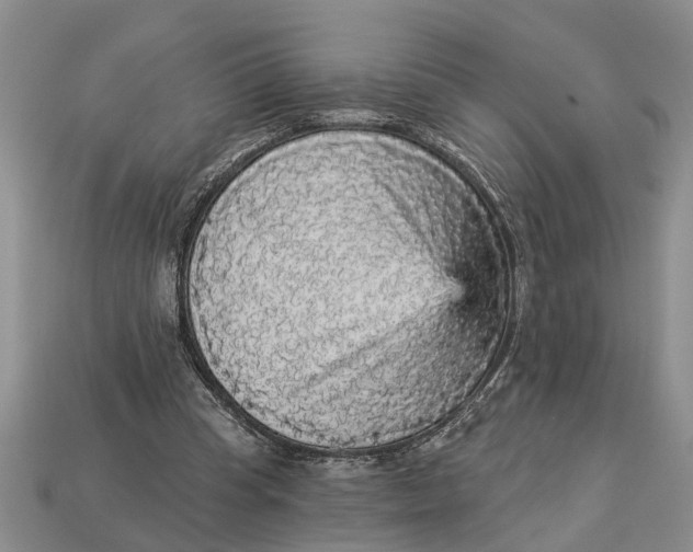 X0000112960345200909171302