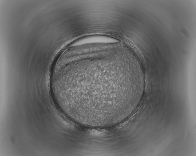 X0000112960346200909171302