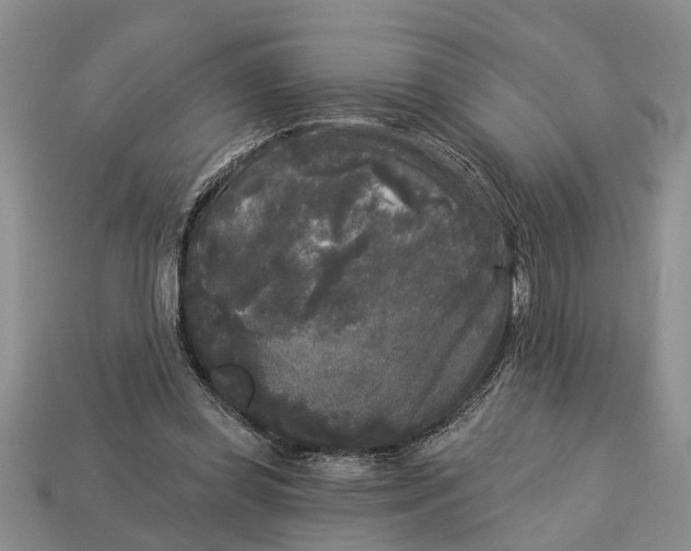 X0000112960349200909171302