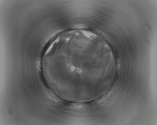 X0000112960351200909171302