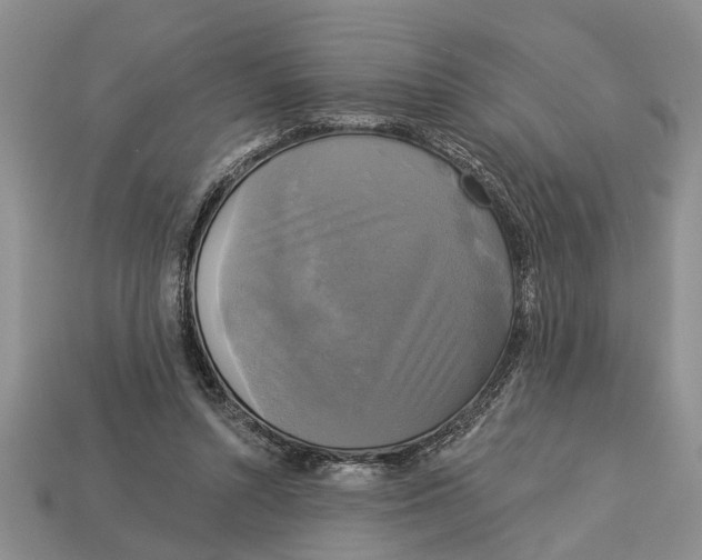 X0000112960352200909171302