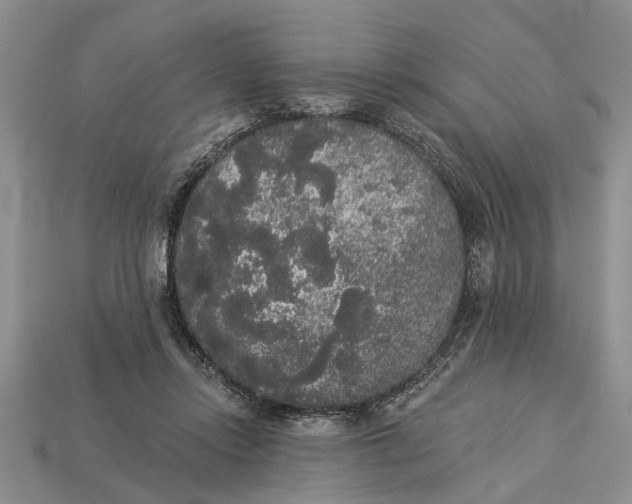 X0000112960358200909171302