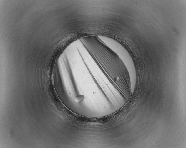 X0000112960360200909171302