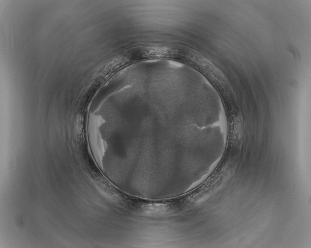 X0000112960361200909171302