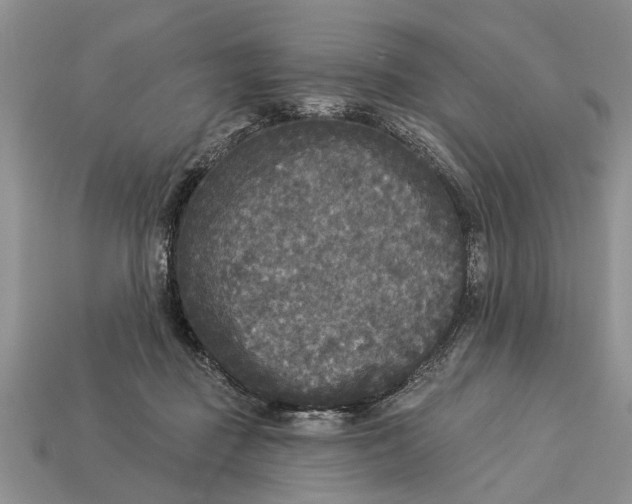 X0000112960363200909171302