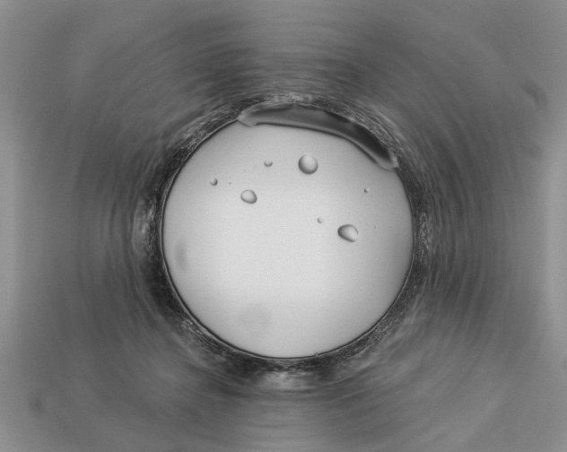 X0000112960364200909171302