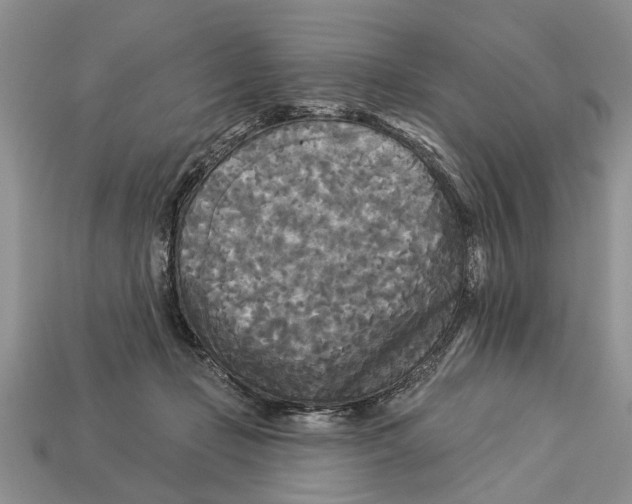 X0000112960365200909171302