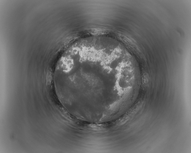 X0000112960367200909171302