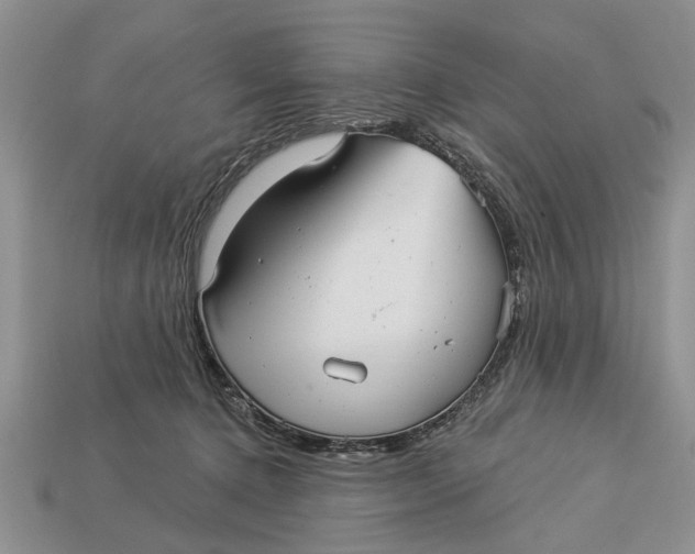 X0000112960368200909171302