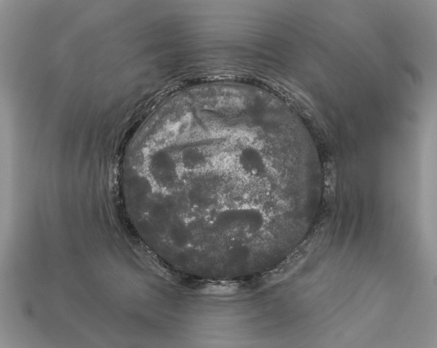 X0000112960369200909171302