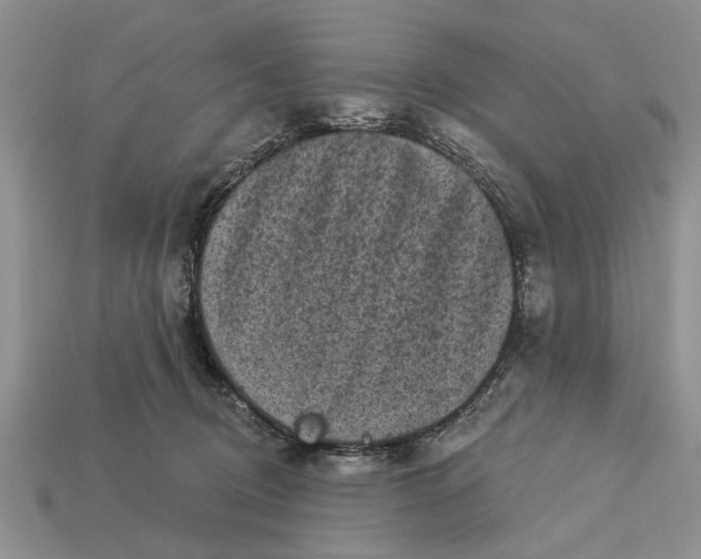 X0000112960370200909171302