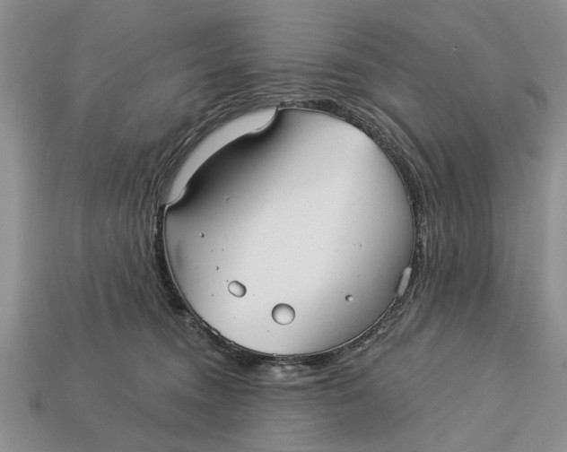 X0000112960372200909171302