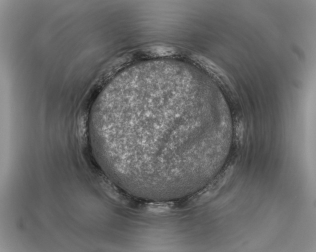 X0000112960373200909171302