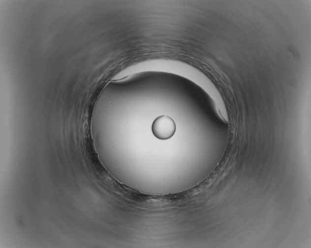 X0000112960376200909171302