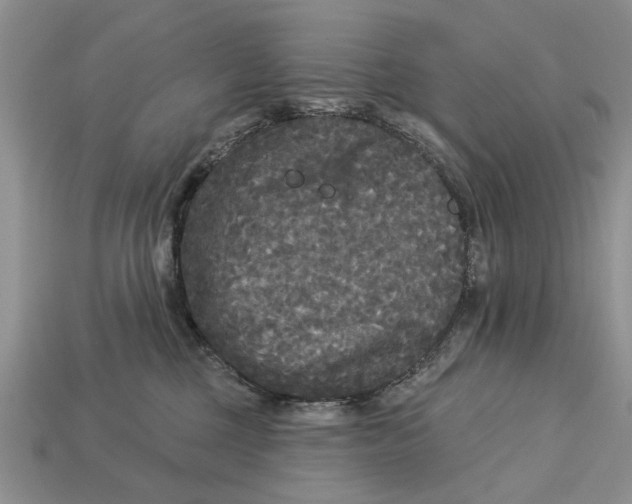 X0000112960377200909171302