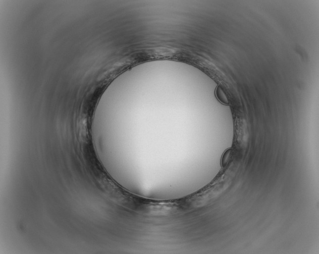 X0000112960378200909171302