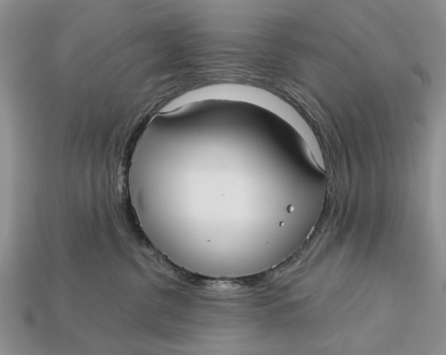 X0000112960380200909171302