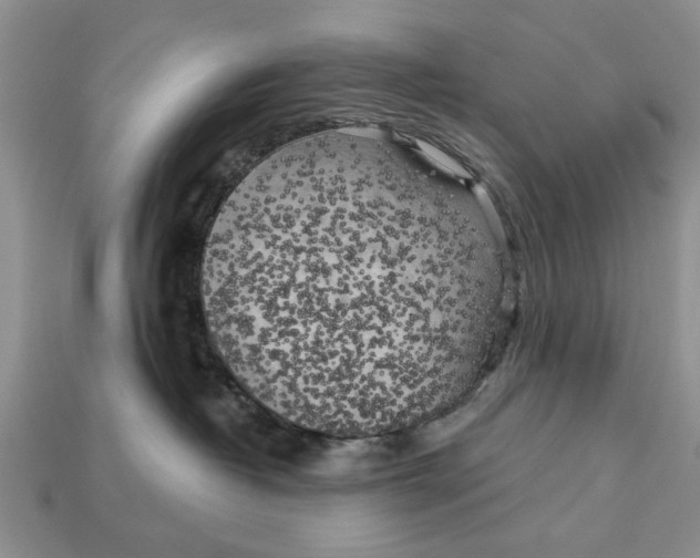 X0000112960382200909171302