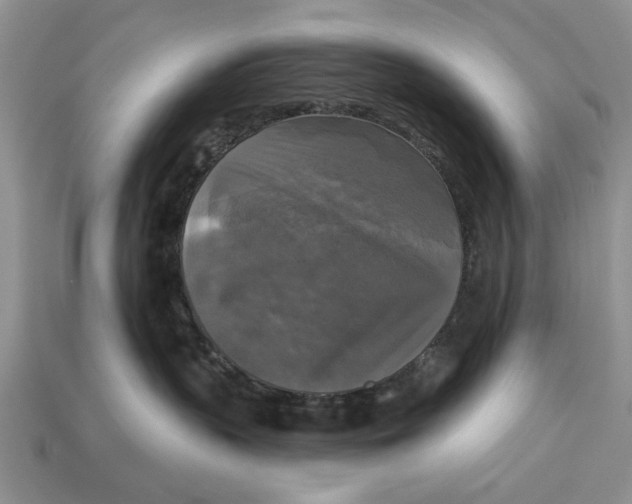 X0000112960383200909171302