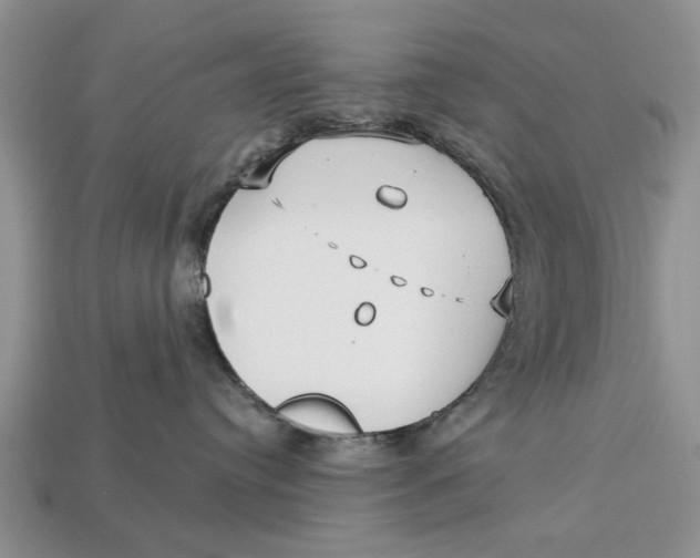 X0000112960384200909171302