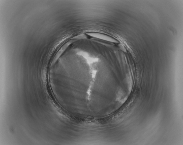 X0000112960386200909171302