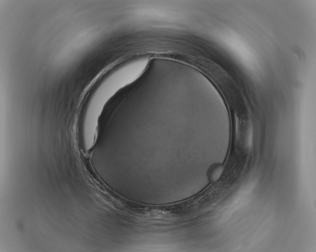 X0000112960387200909171302