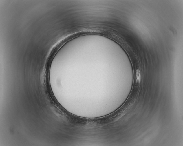 X0000112960388200909171302