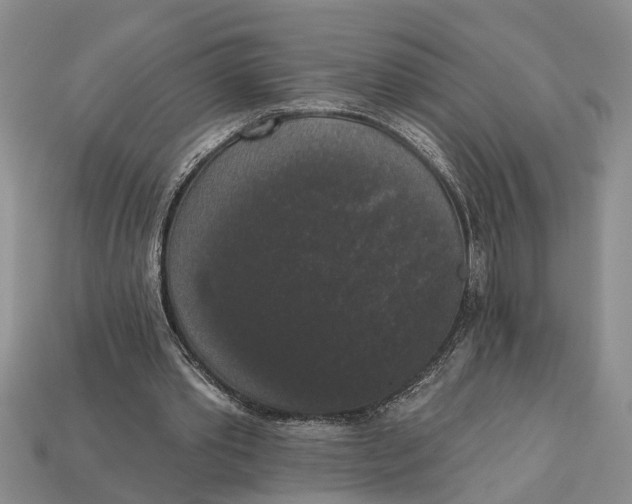 X0000112960389200909171302