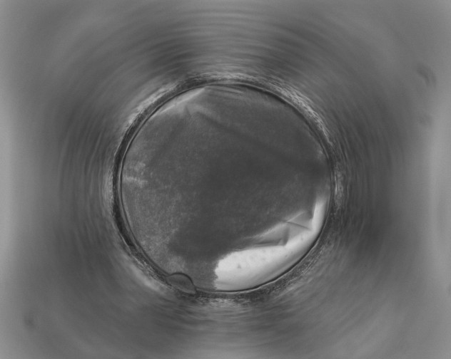 X0000112960390200909171302