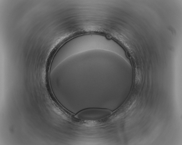 X0000112960391200909171302